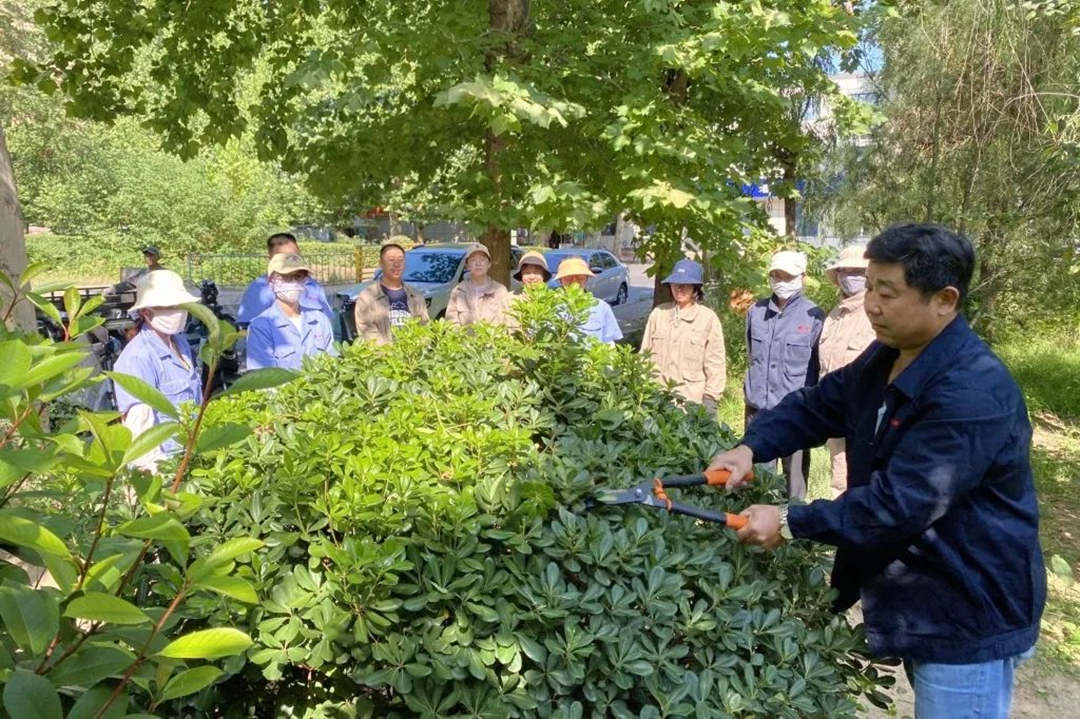 園林綠化養護培訓現場