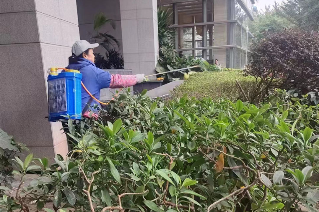廣州逸翠灣小區冬季綠化養護